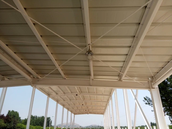 Steel Structure Carton Processing Workshop